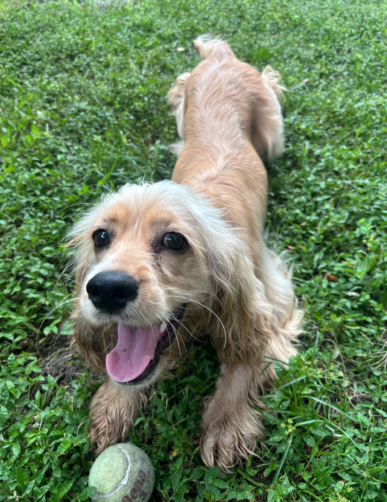 Winnie