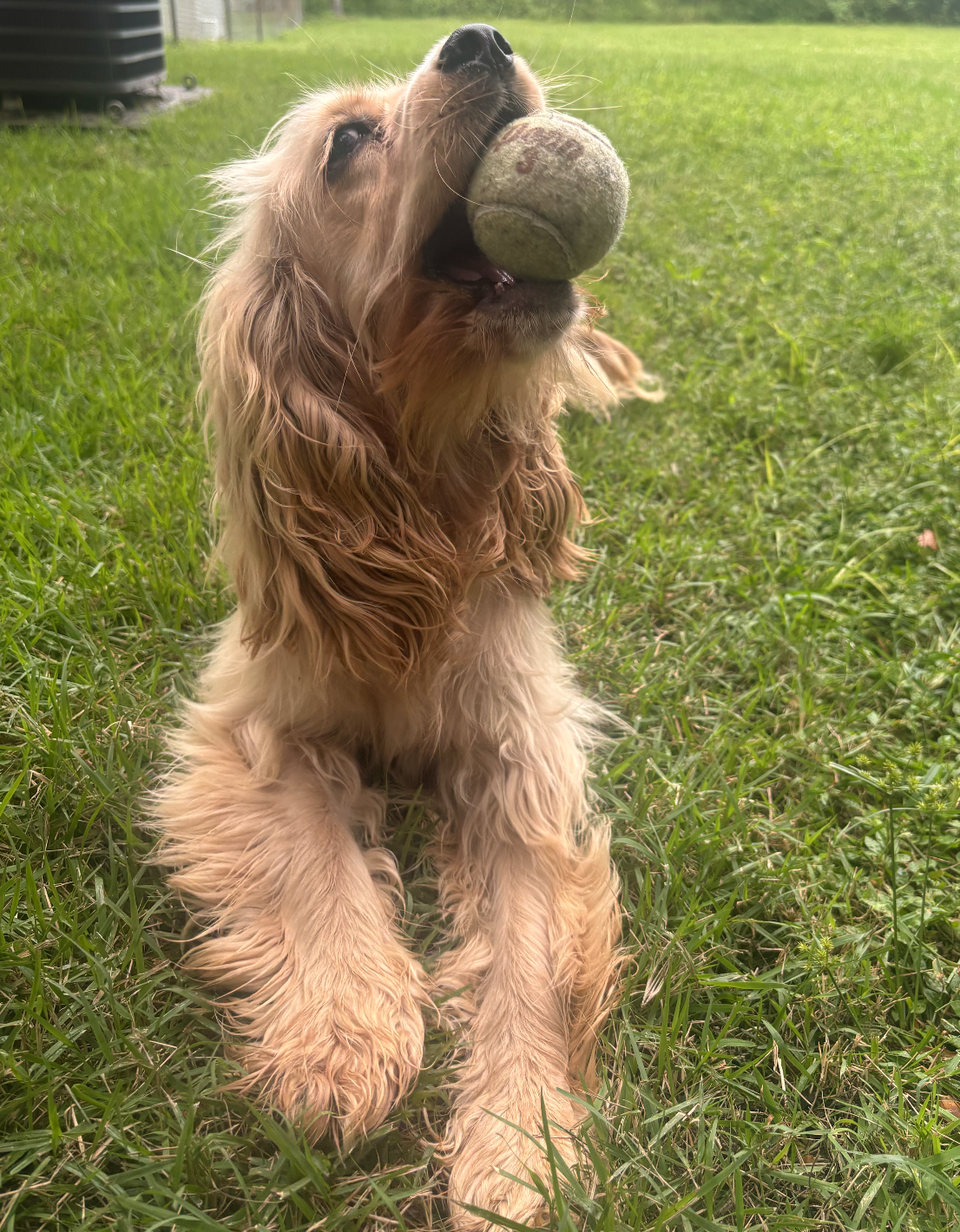 Winnie, photo 3