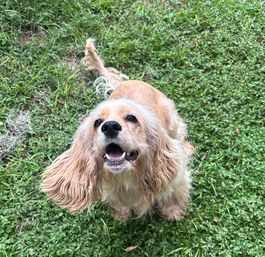 Winnie, photo 4