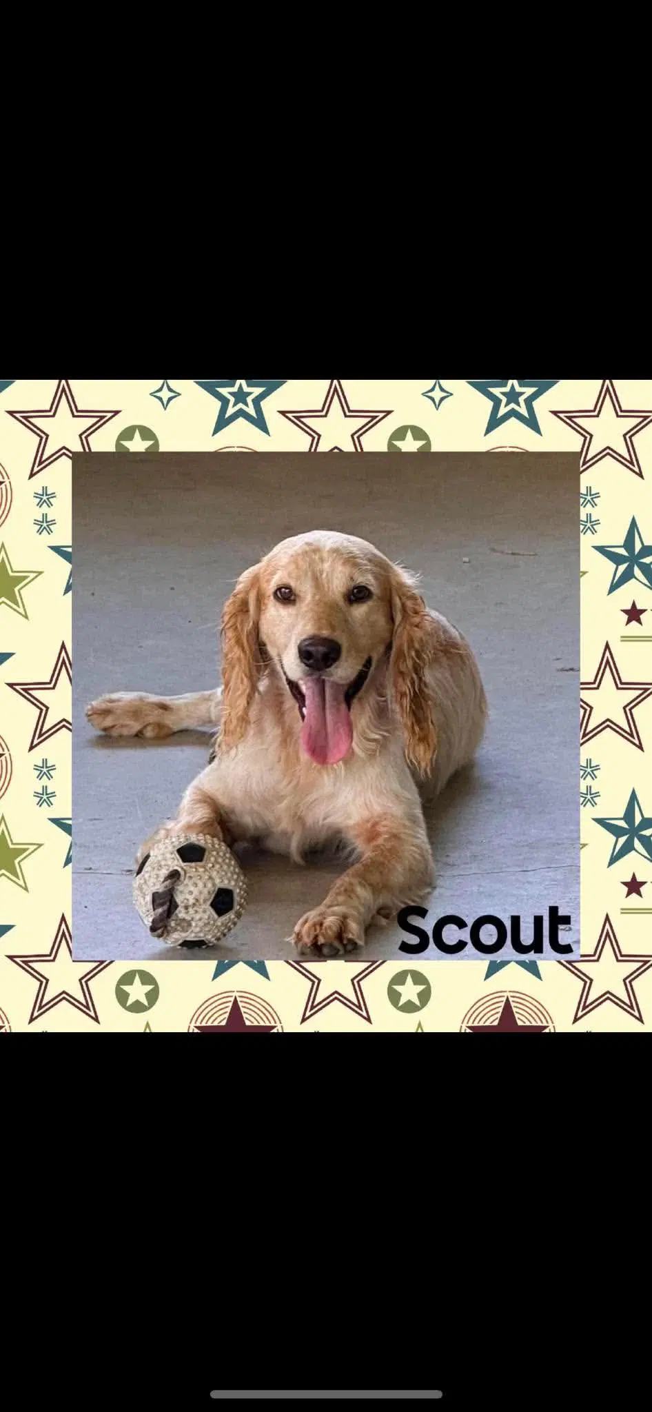 Scout image 4
