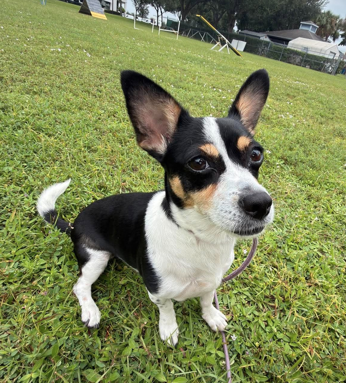 Jackie, photo 7