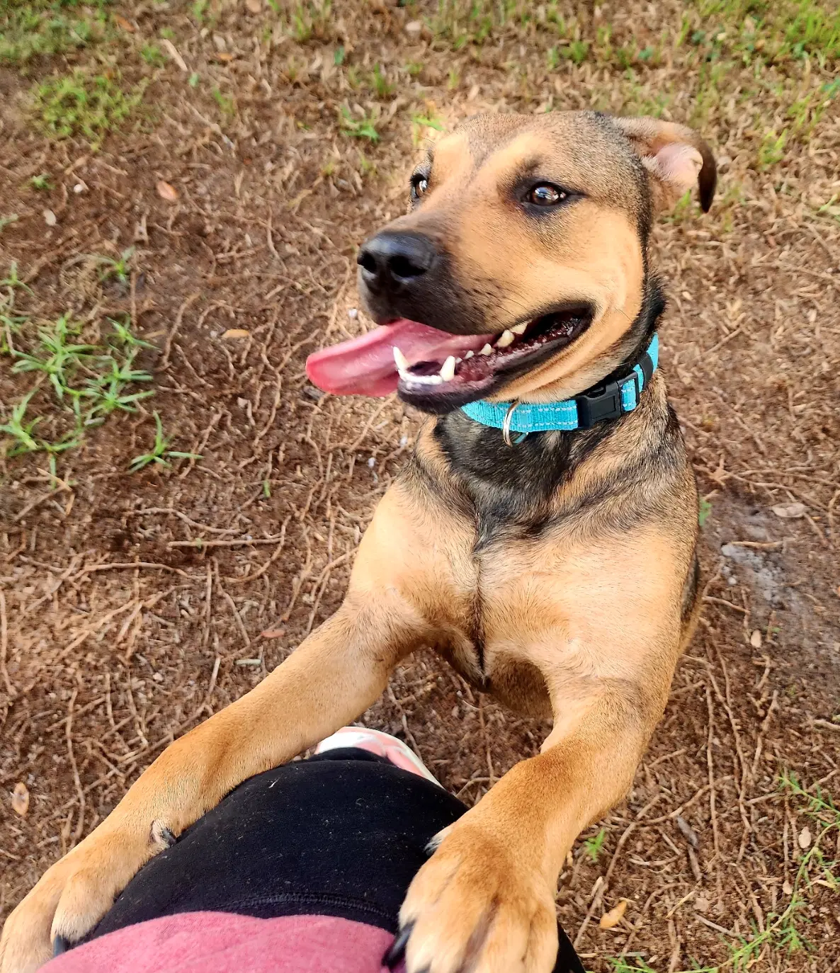 Roxy image 2