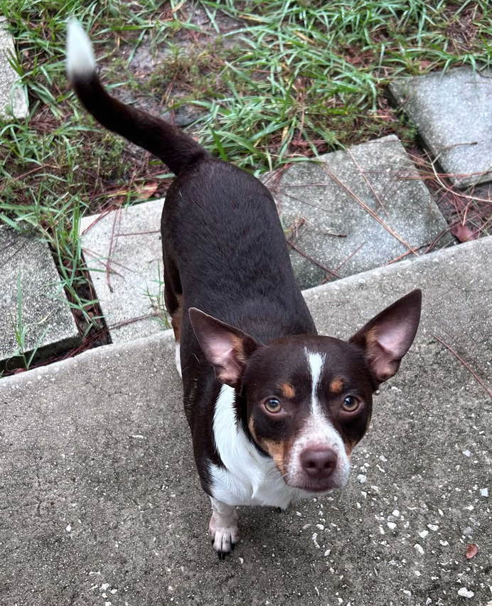 Emmett, photo 3