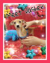 Dasher