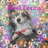 Donna