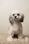 Gidget