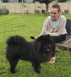 Leo (Chow) - Photo 3