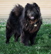 Smokey - Photo 3