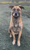 Otis - Photo 2