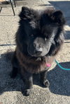 Nellie - Photo 2