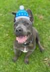Rudy - Photo 1