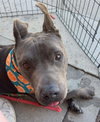 Rudy - Photo 2