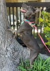 Rudy - Photo 4