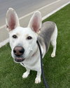 Ruger - Photo 4