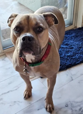 Sadie