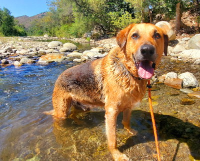 Photo 3 of Twix