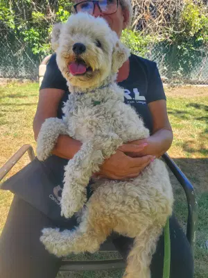 Duffy image 3