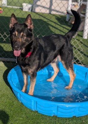 Photo 2 of Maverick