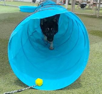 Photo 3 of Maverick