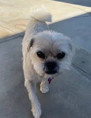 Kiki image 3