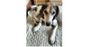 adoptable Dog in Greenbelt, MD named Huck