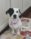 Lainey - Photo 4
