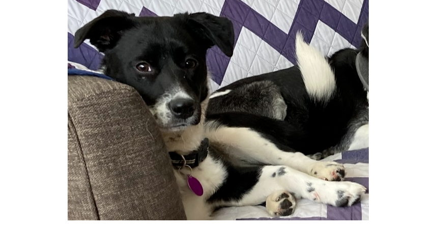 Minnie