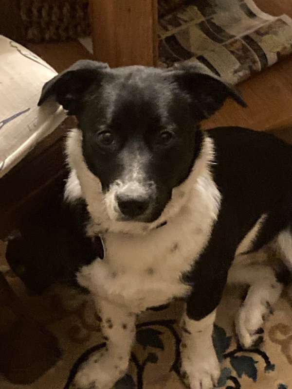 Minnie