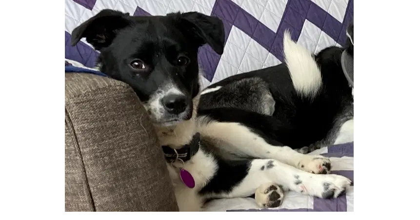 Minnie image 2