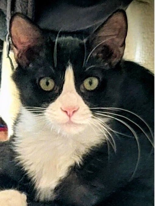 Max