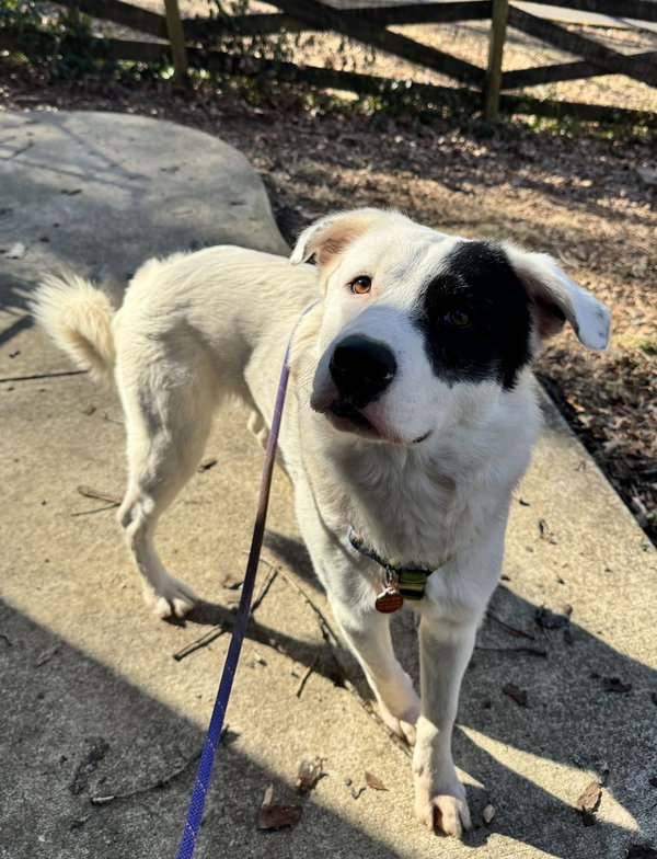 Max
