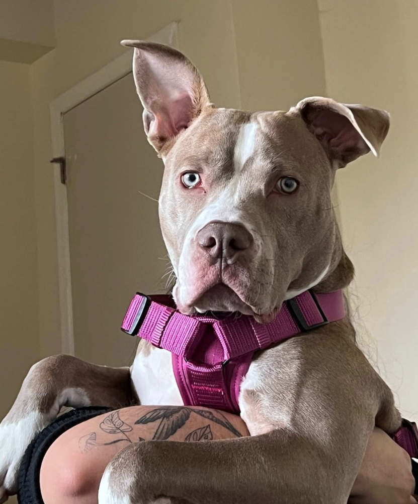 Cleo