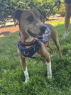Sage Mae - Photo 2