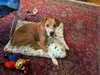 Sage Mae - Photo 4
