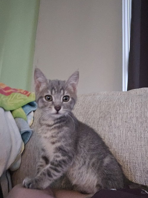 Freya photo 2