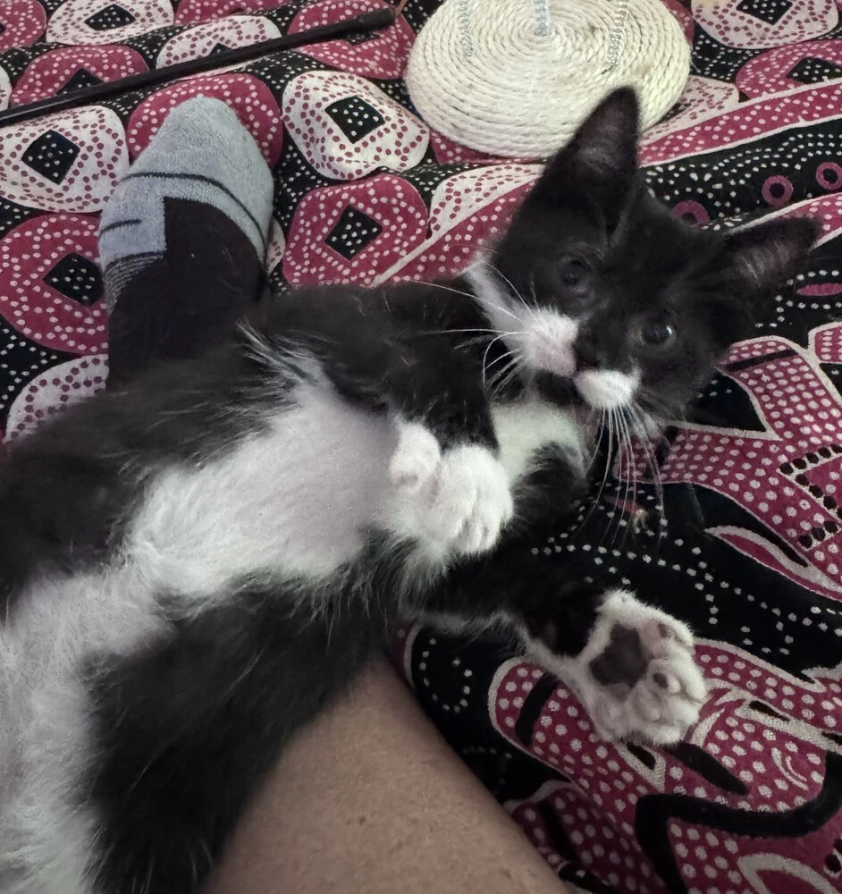 Serana