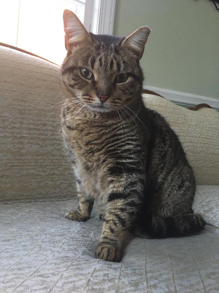 Charlie