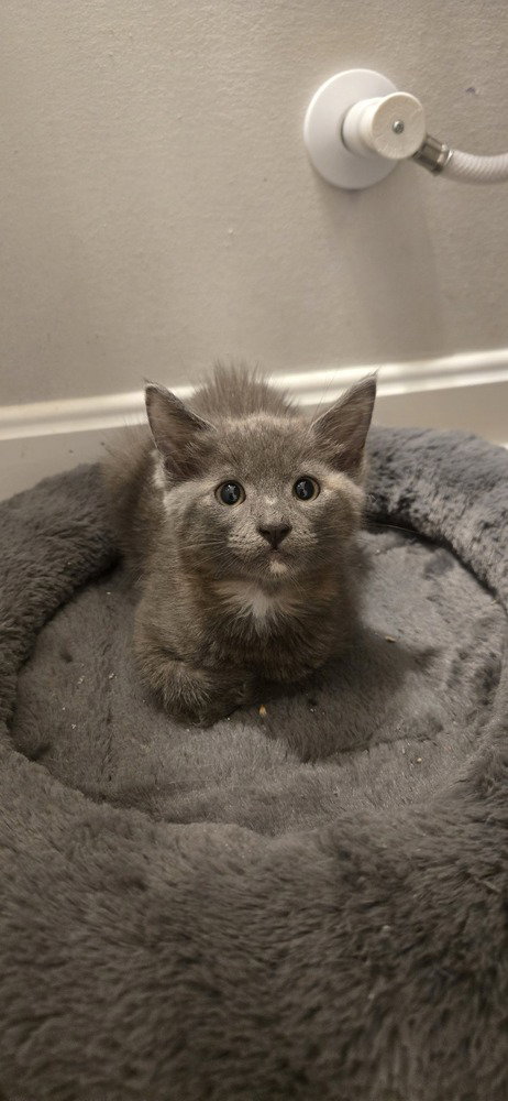 Photo 2 of ZoÃ«