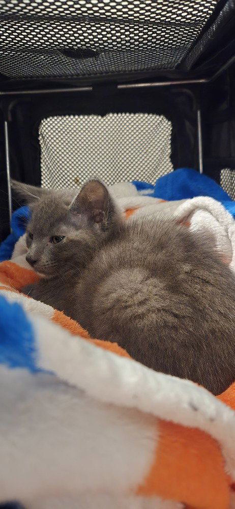 Photo 3 of ZoÃ«