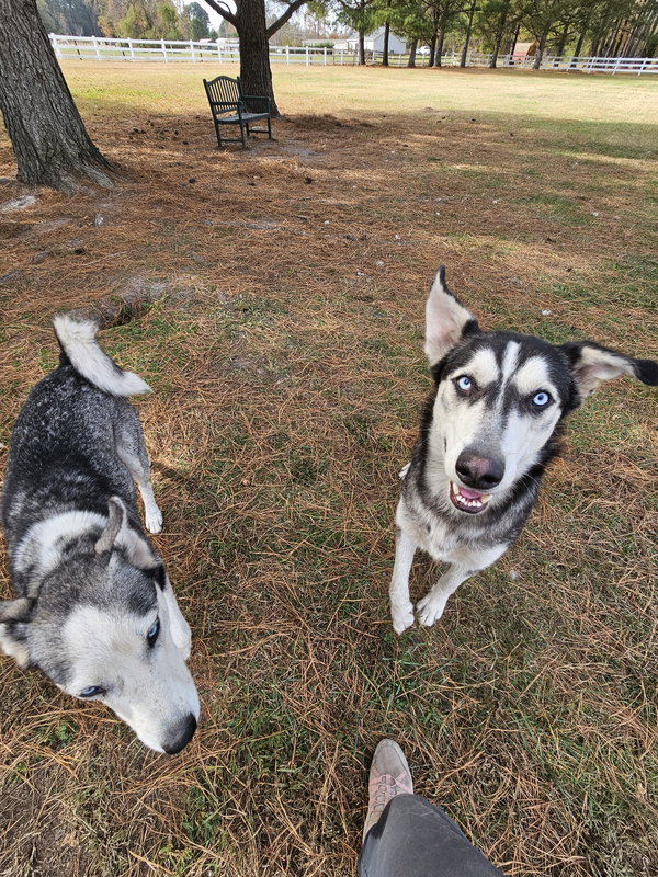 Zoe & Pedro
