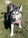 Ember - Photo 2