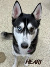 Freya - Photo 1