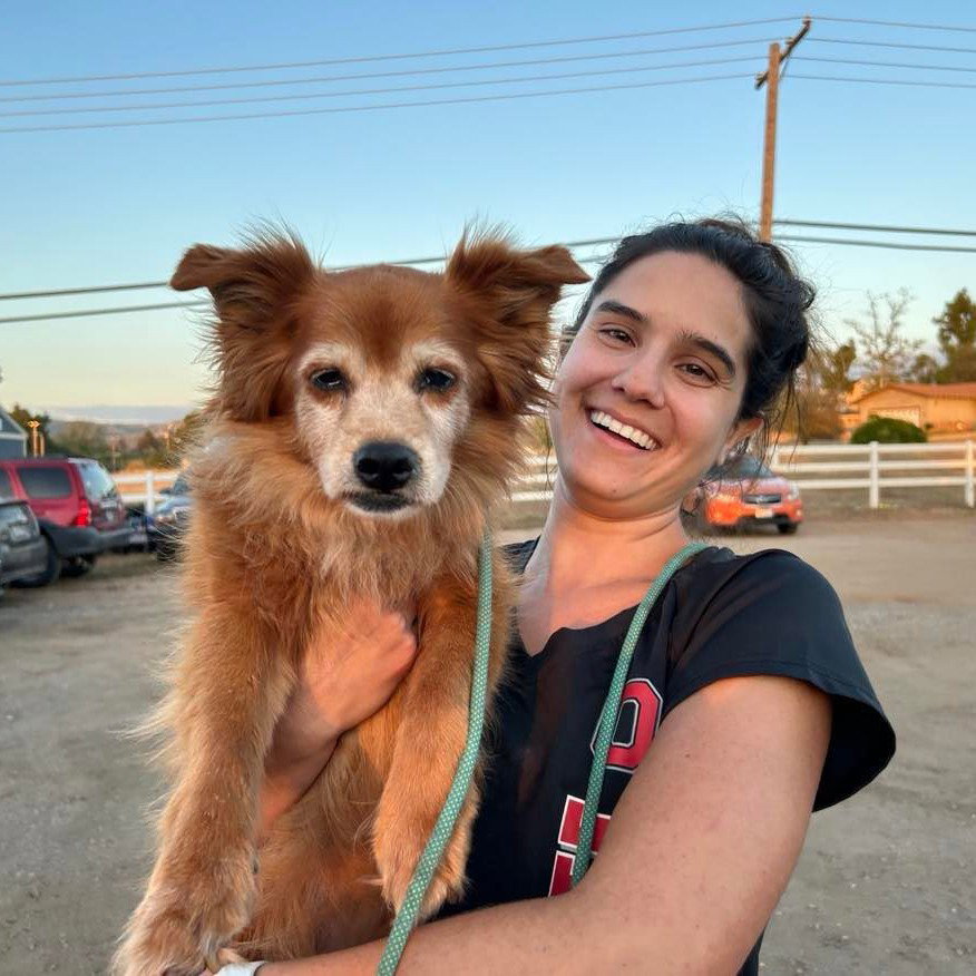 Dog for Adoption Marmalade, a Terrier in Del Mar, CA Alpha Paw