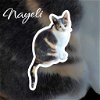 adoptable Cat in nashville, GA named Nayeli