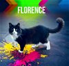 adoptable Cat in nashville, GA named Florence