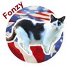 adoptable Cat in nashville, GA named Fonzy