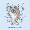 adoptable Cat in  named Heaven Leigh