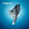 adoptable Cat in nashville, GA named Hazen