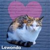adoptable Cat in nashville, GA named Lewonda