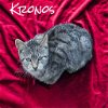 adoptable Cat in nashville, GA named Kronos
